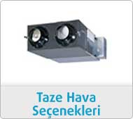 taze-hava